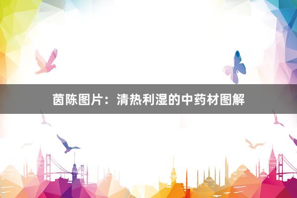 茵陈图片：清热利湿的中药材图解